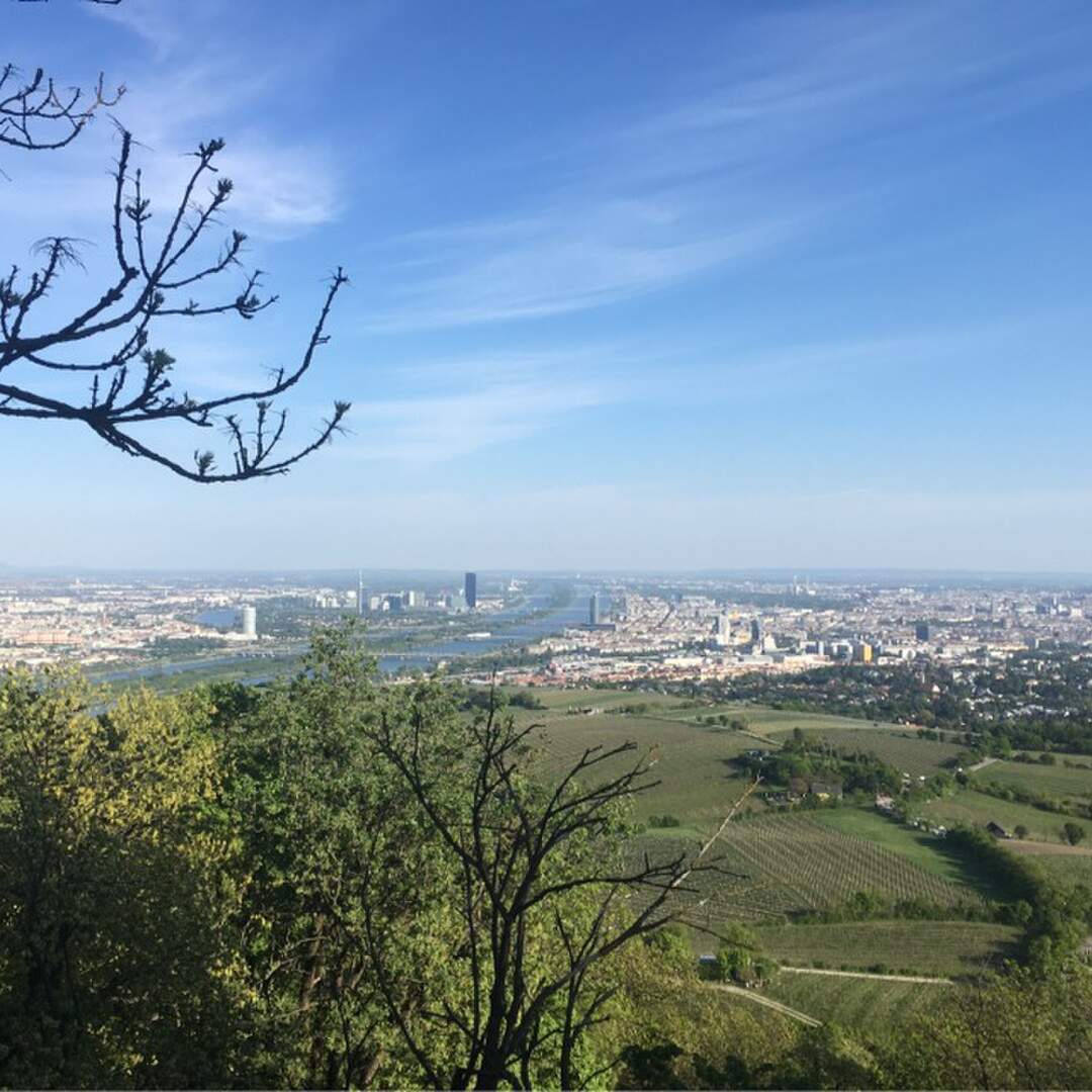Wien und Umgebung