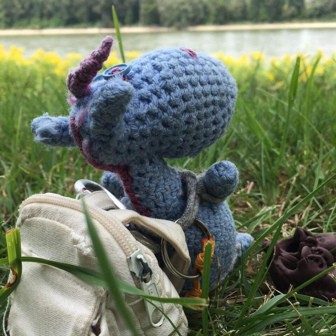 Erwin Einhorn on Tour