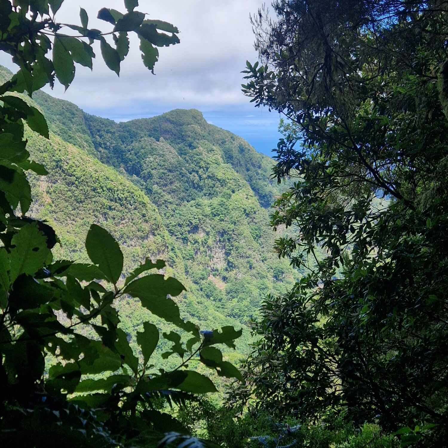 Madeira 2026