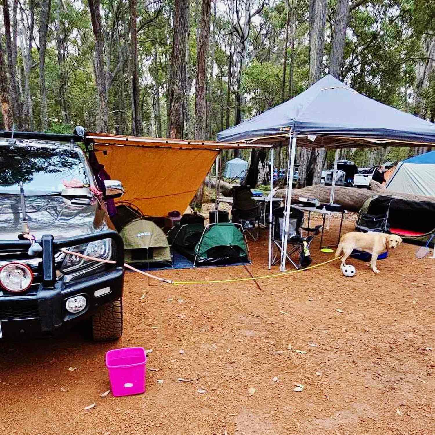 Dwellingup Camping Trip