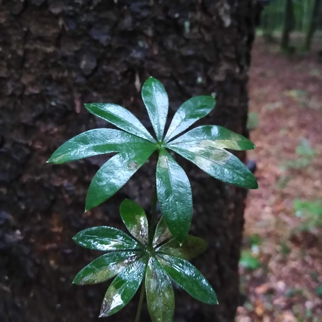 Das ist heute so los.