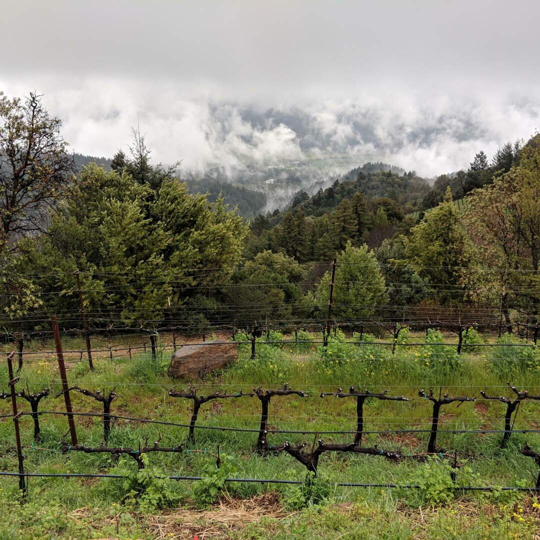 Napa Valley