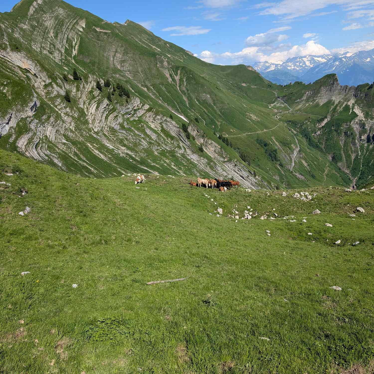 Swiss Sabbatical