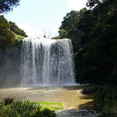 New Zealand trip