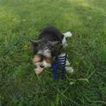 Corinne Paolozzi-Hutmacher