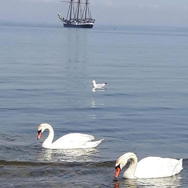 Ostseeküste Boltenhagen