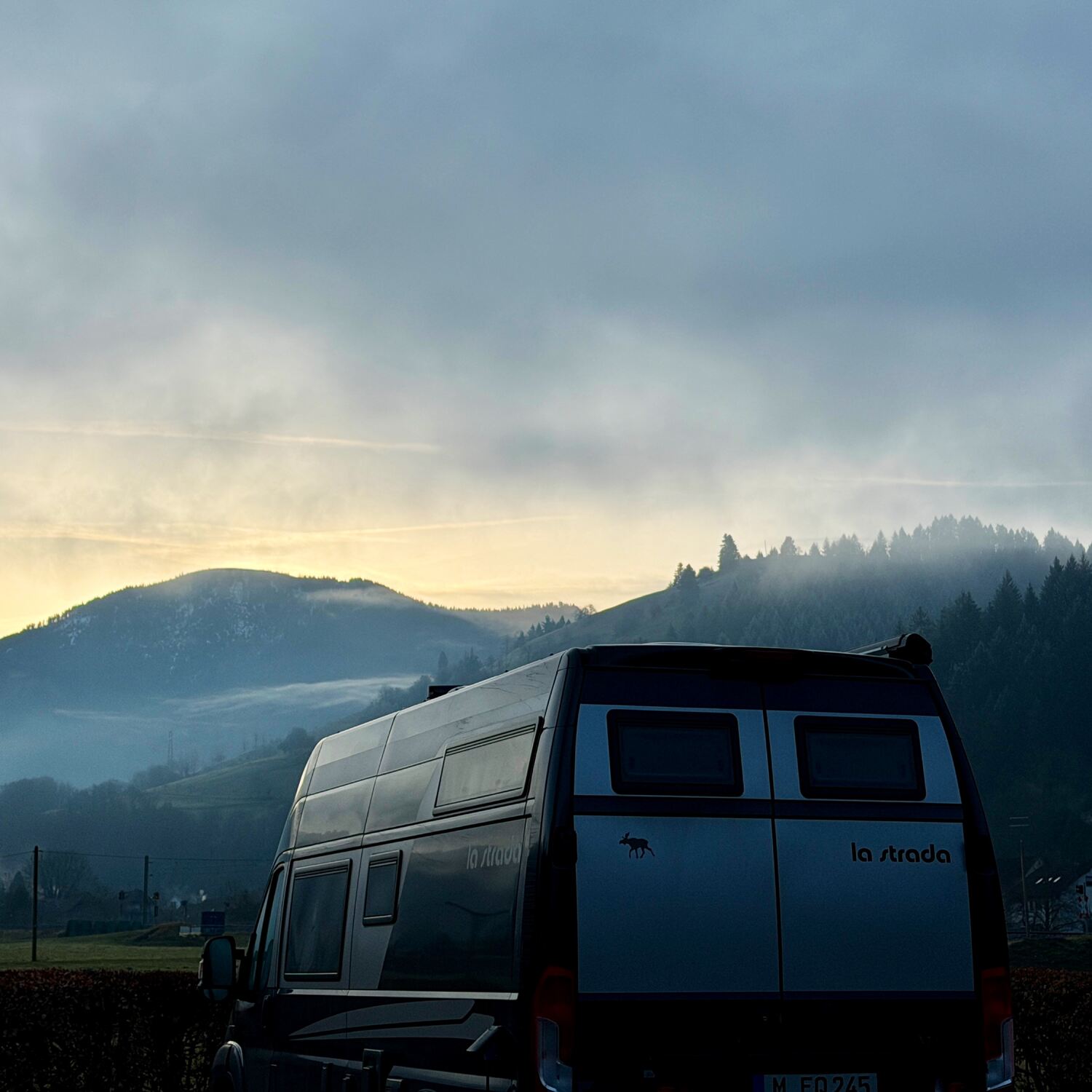 Wir suchen den Frühling