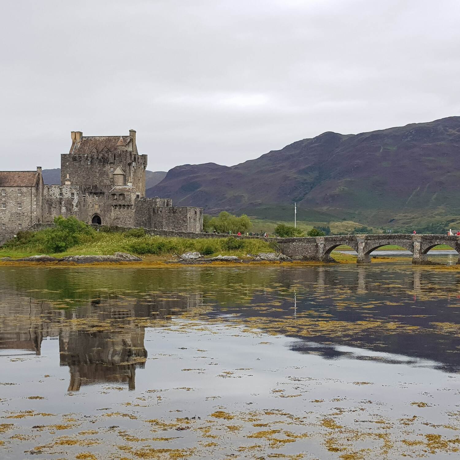 Of haggis and herrings