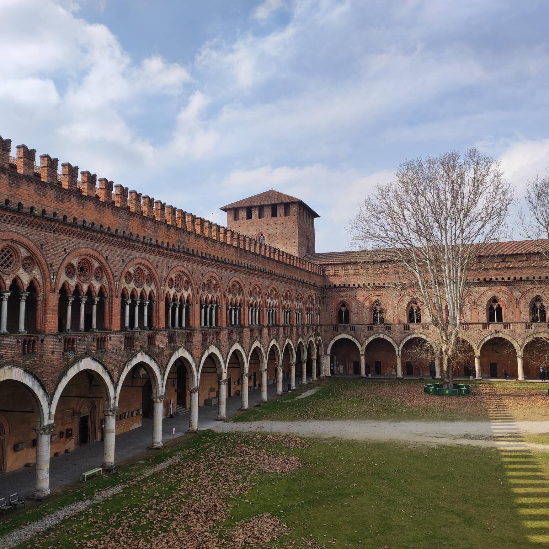 Pavia