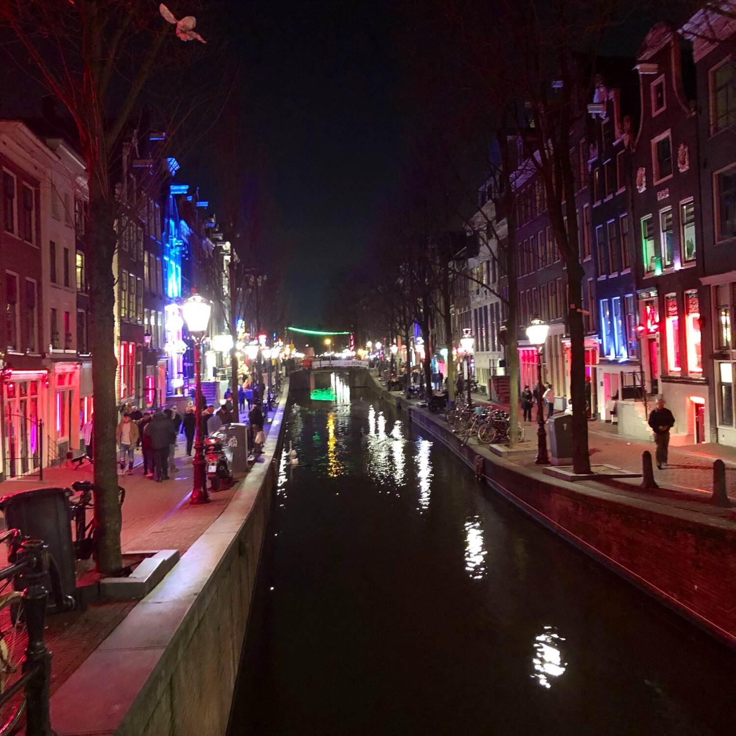 Most spontaneous Trip