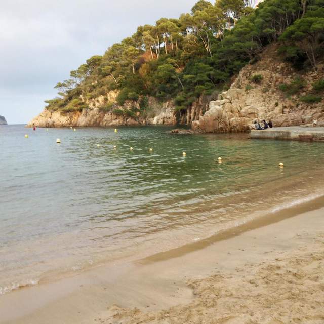 Costa brava dreaming