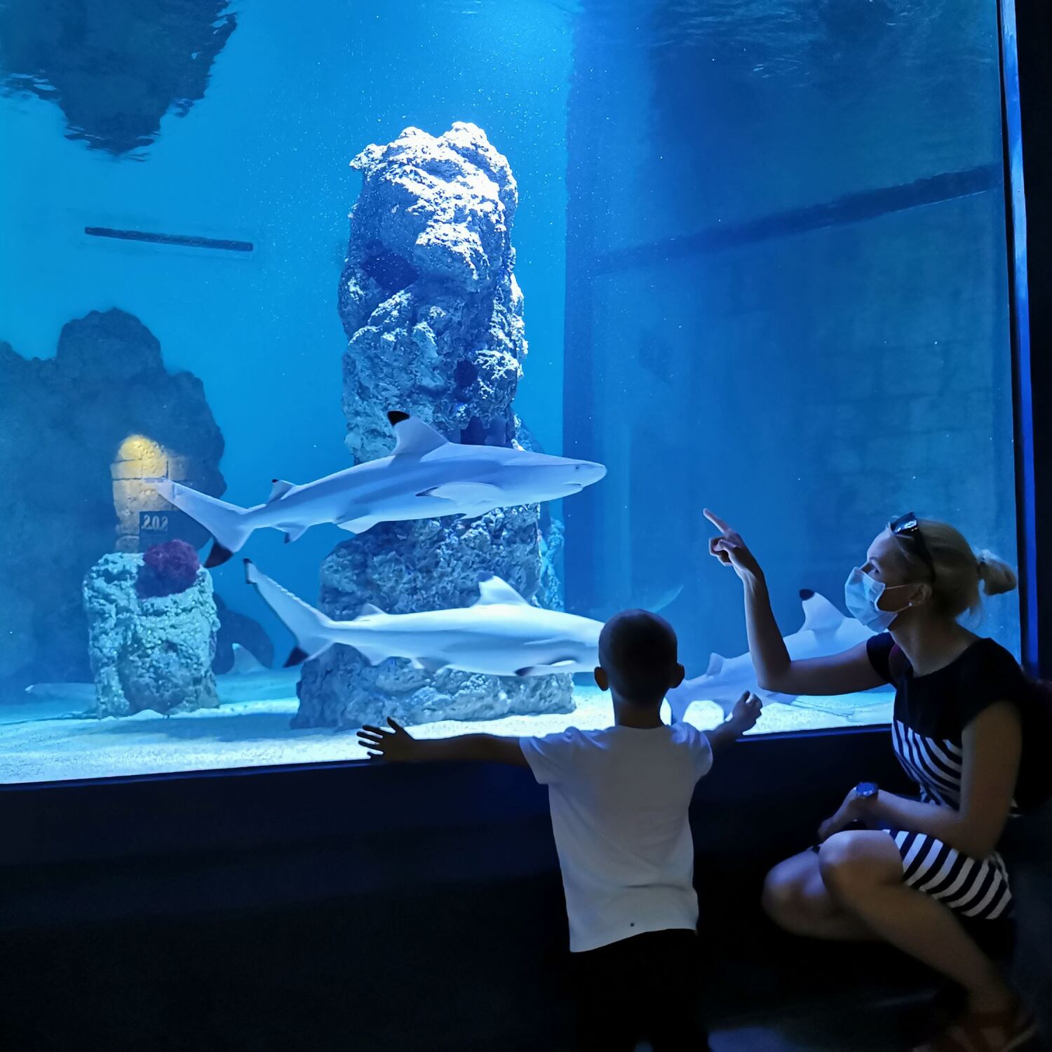 Početak rođendanskih avantura