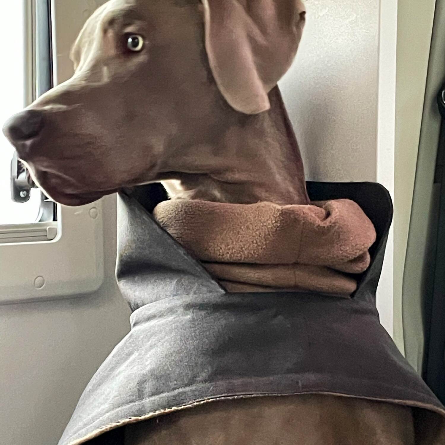 Auf nach Marokko