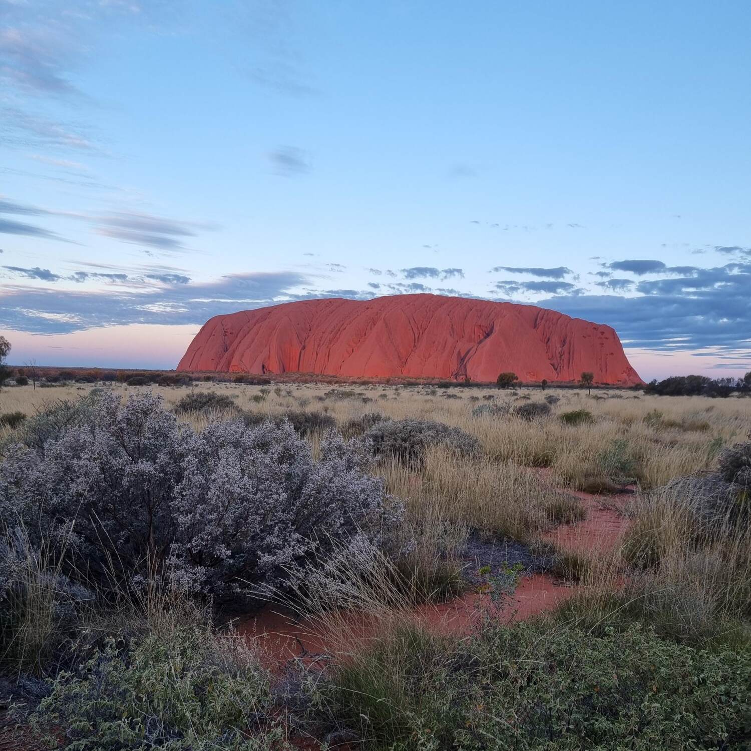 Australia 🇦🇺 2024