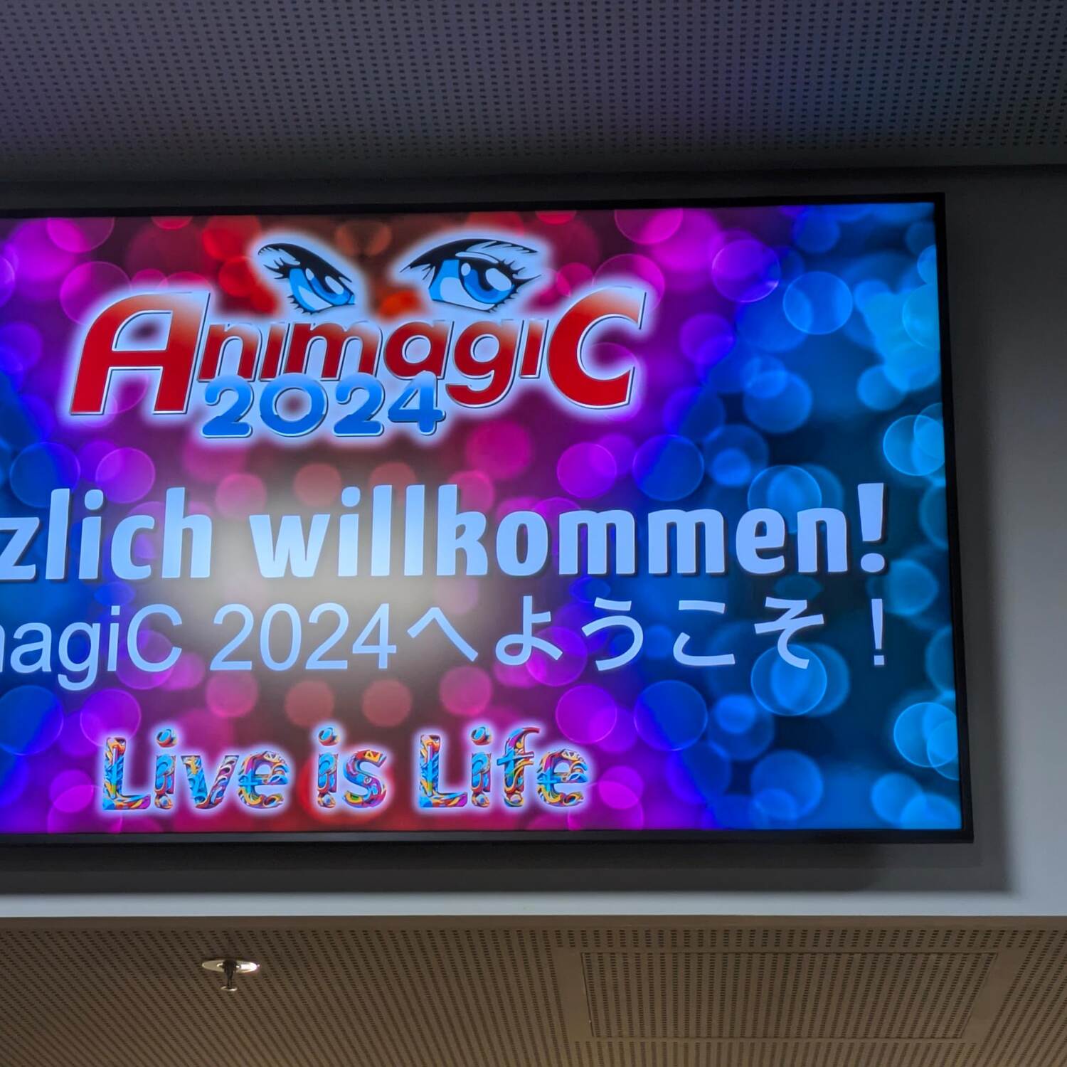 Animagic 2024