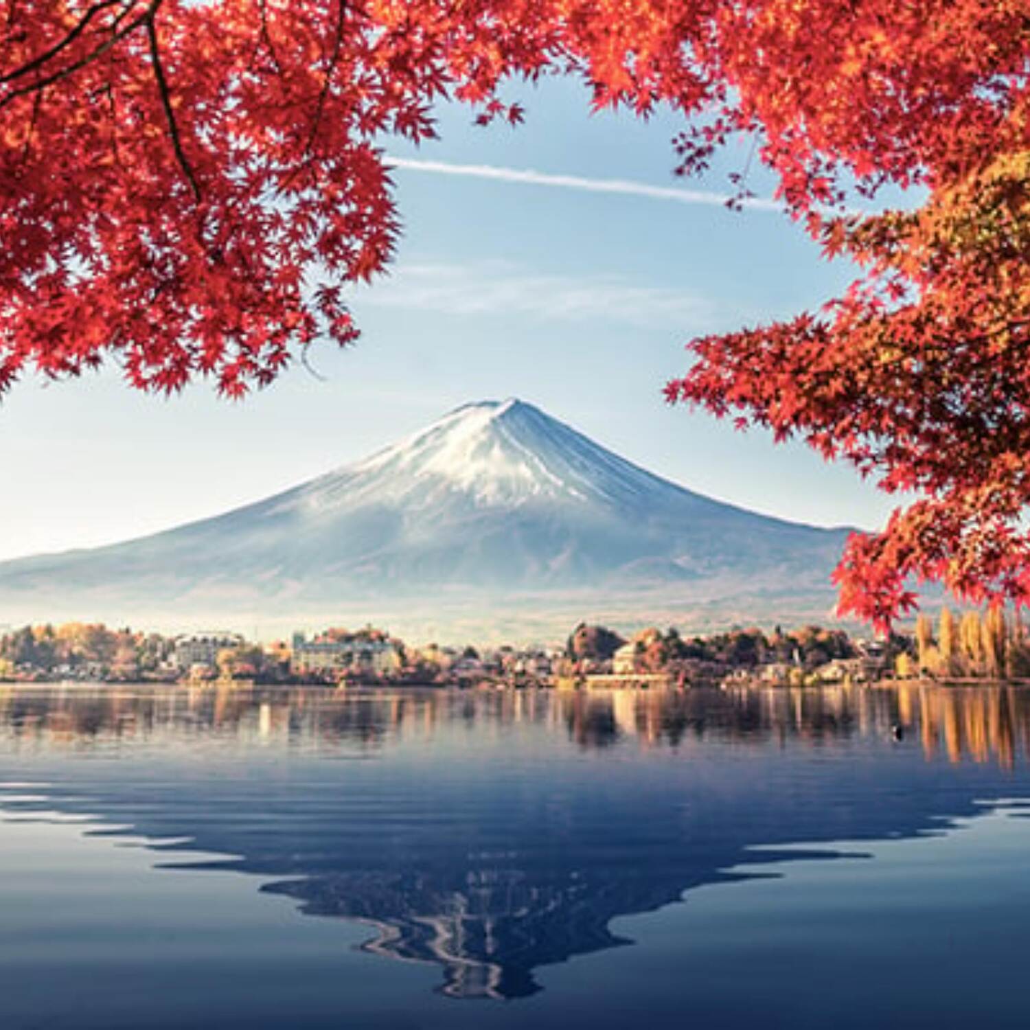 Lets go Japan