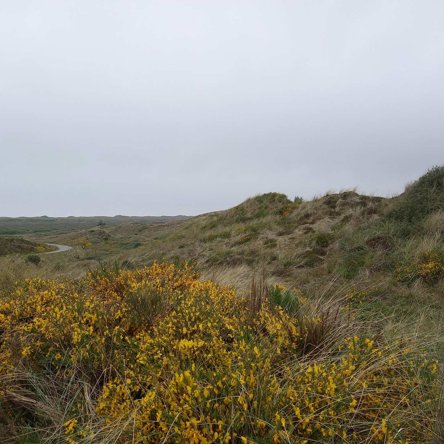 Mitteljütland 🇩🇰