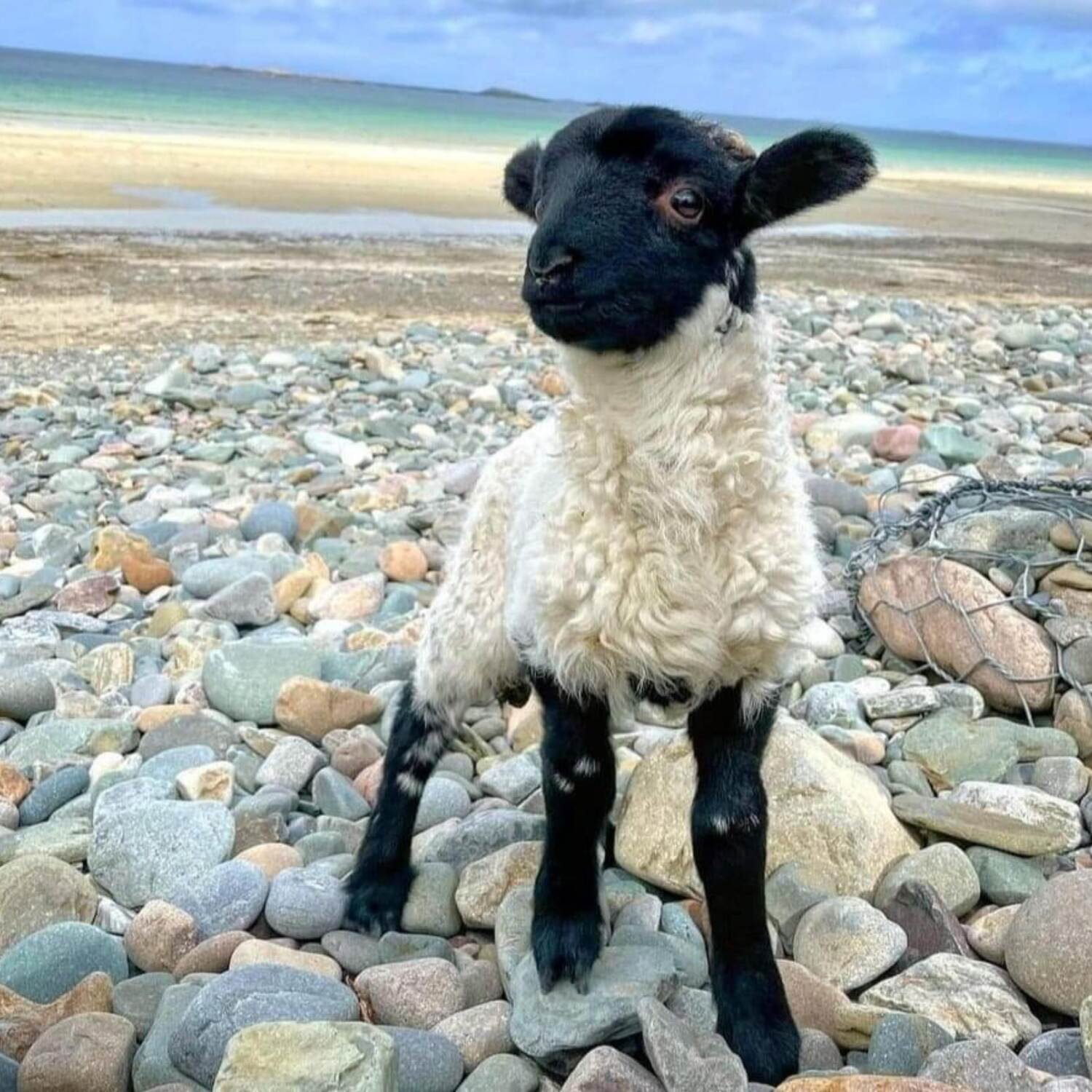 Irlanda
