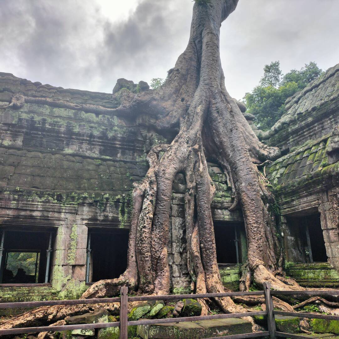Cambodia 2022