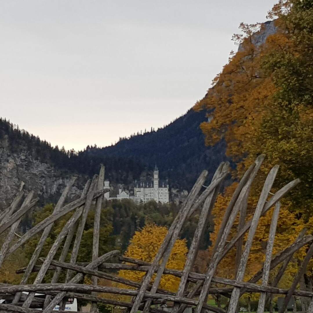 Das geliebte Allgäu