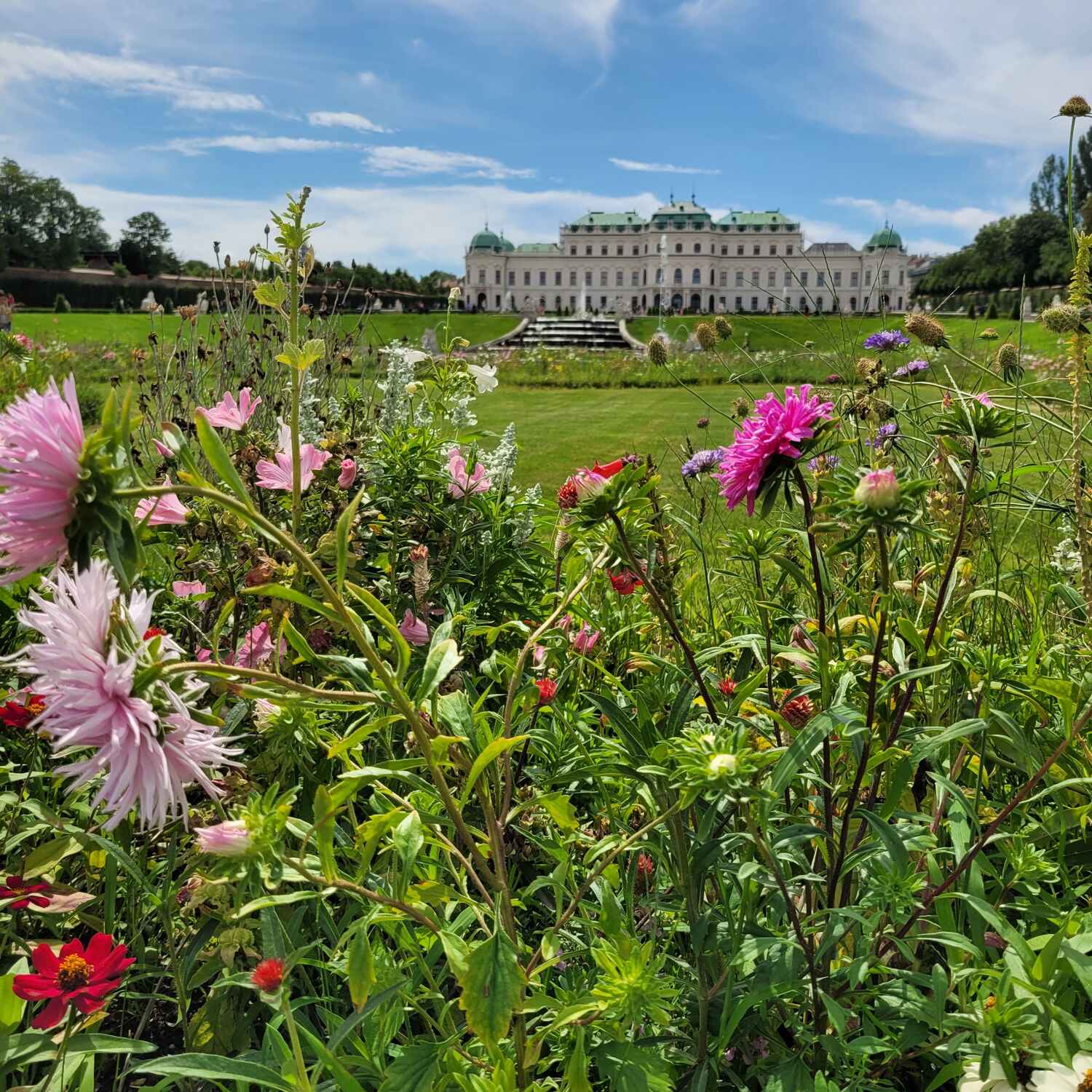 Vienna City getaway