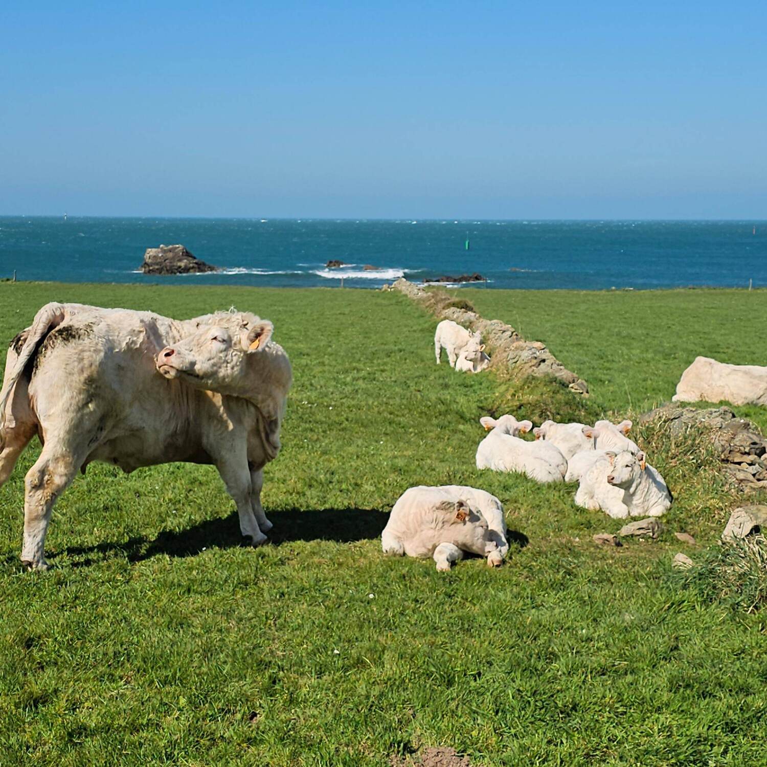 Normandie