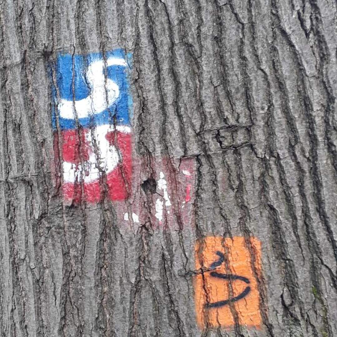 Erlebniswege Sieg, Siegsteig