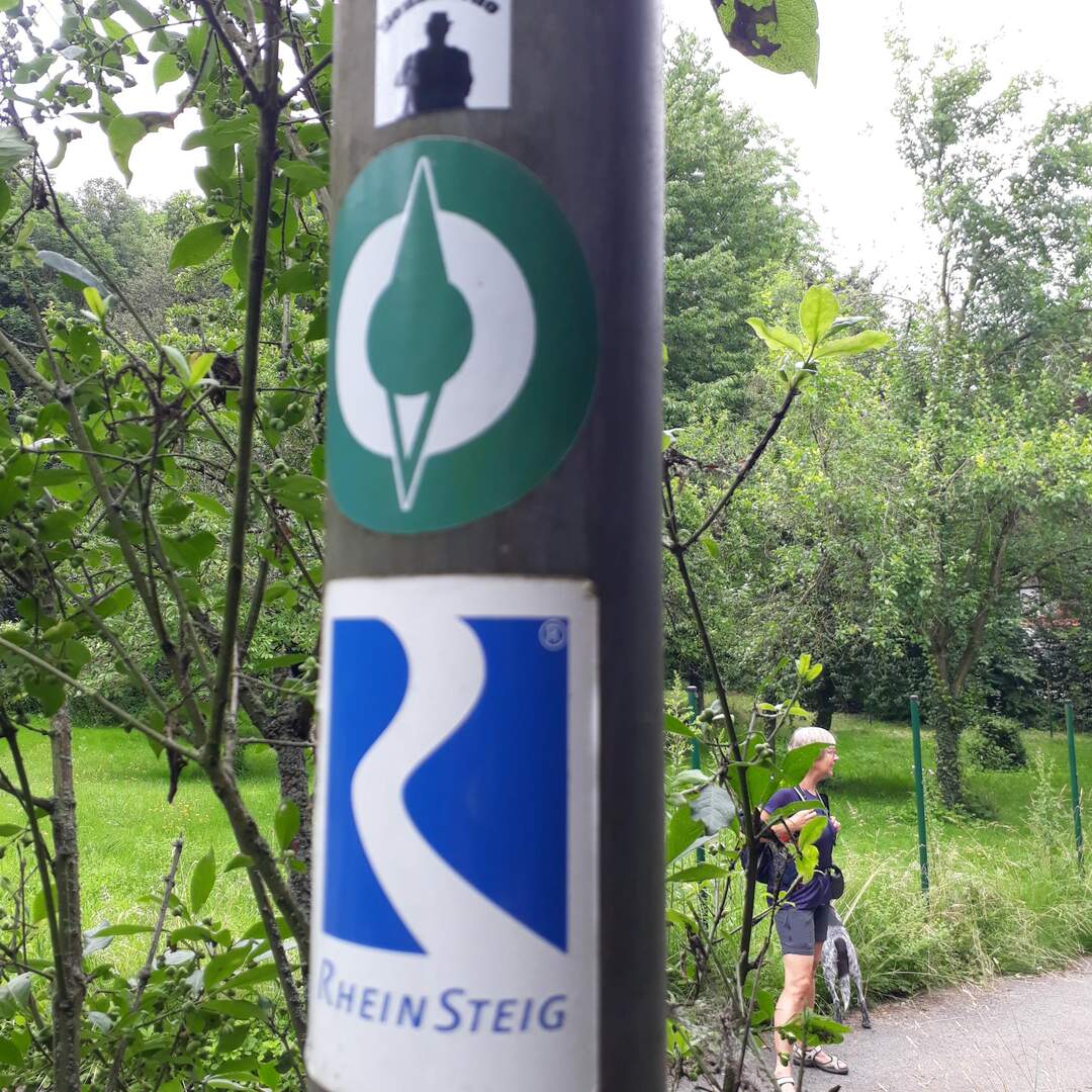 Rheinsteig