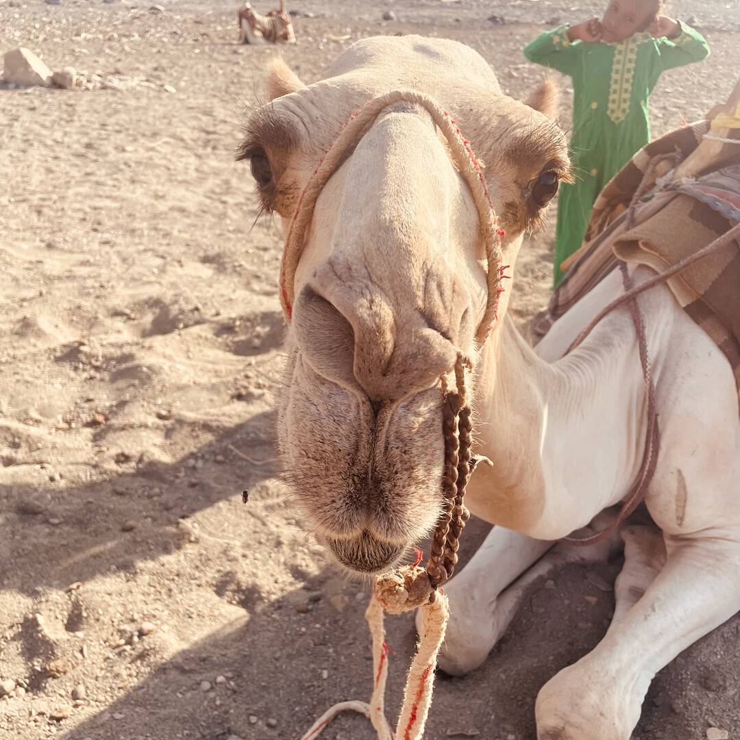 Ägypten - Marsa Alam
