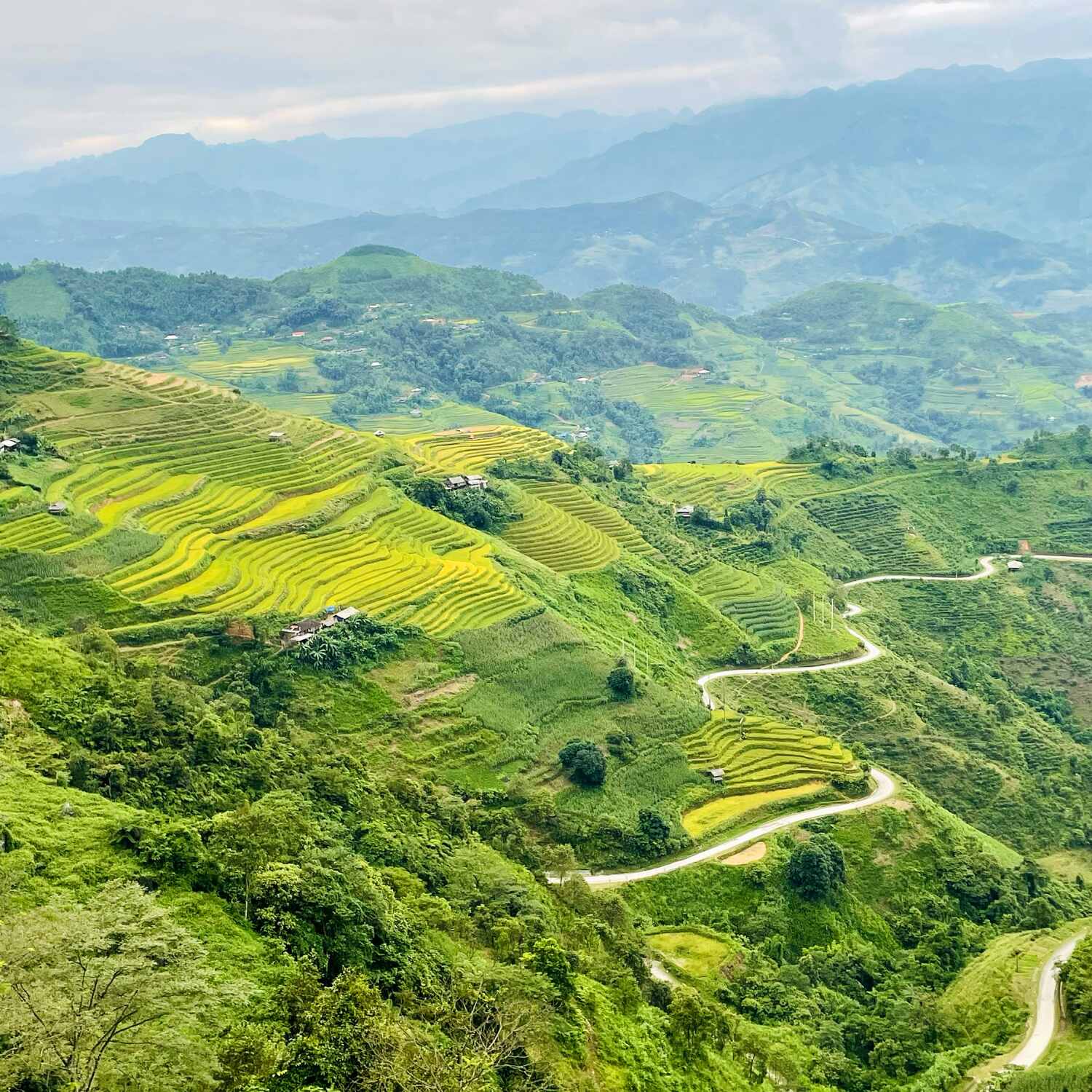 Vietnam