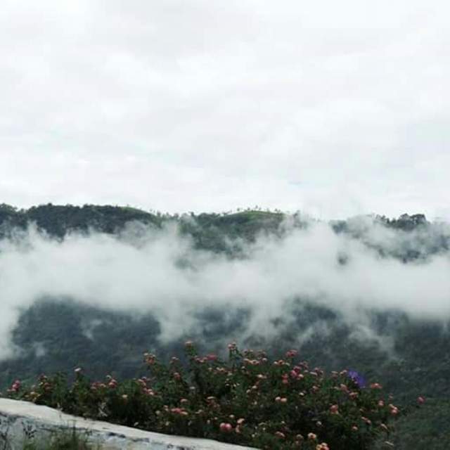 Ooty By Road