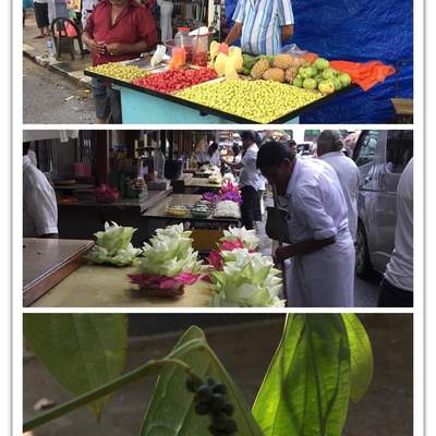 Sri Lanka
