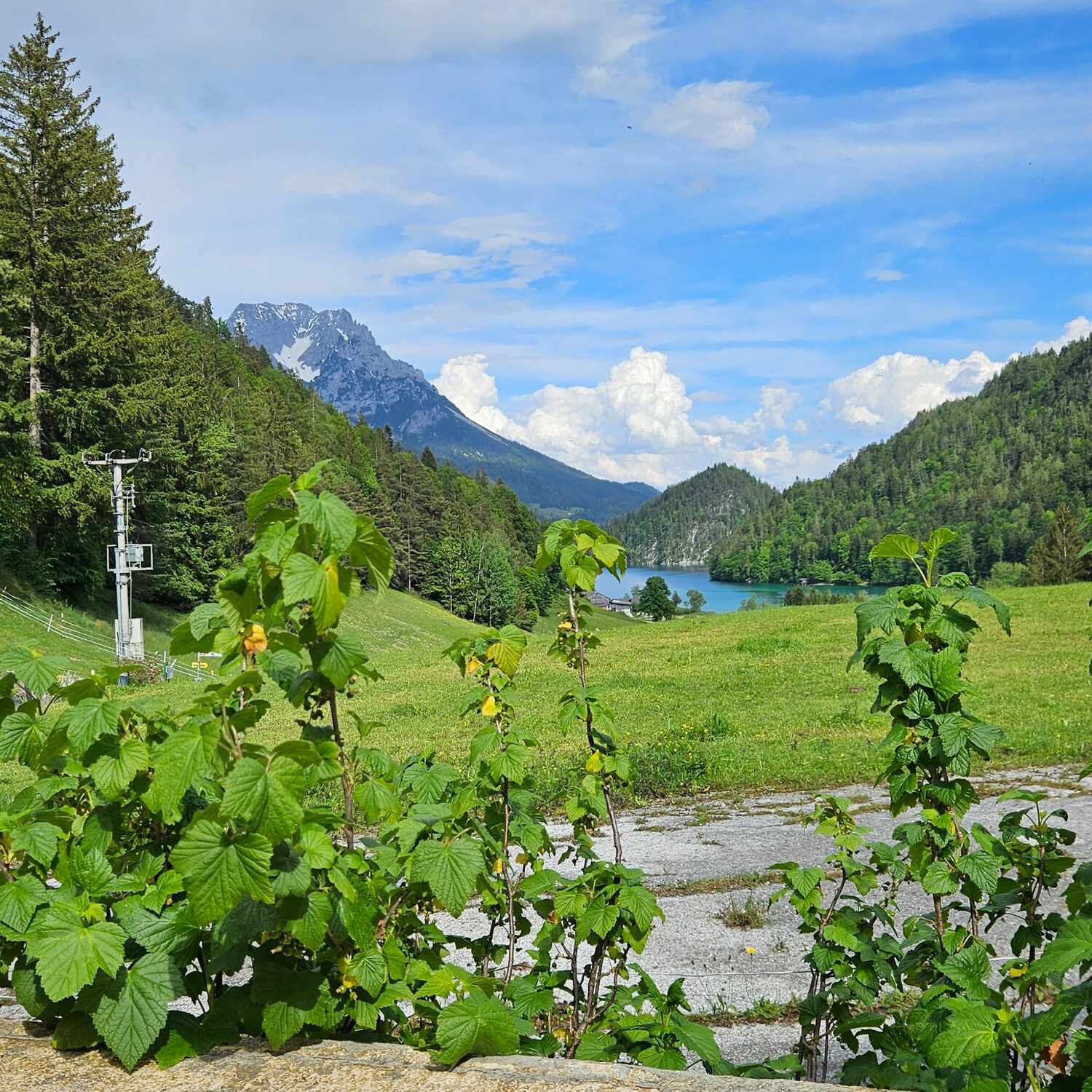 Bio Urlaub Österreich 🇦🇹