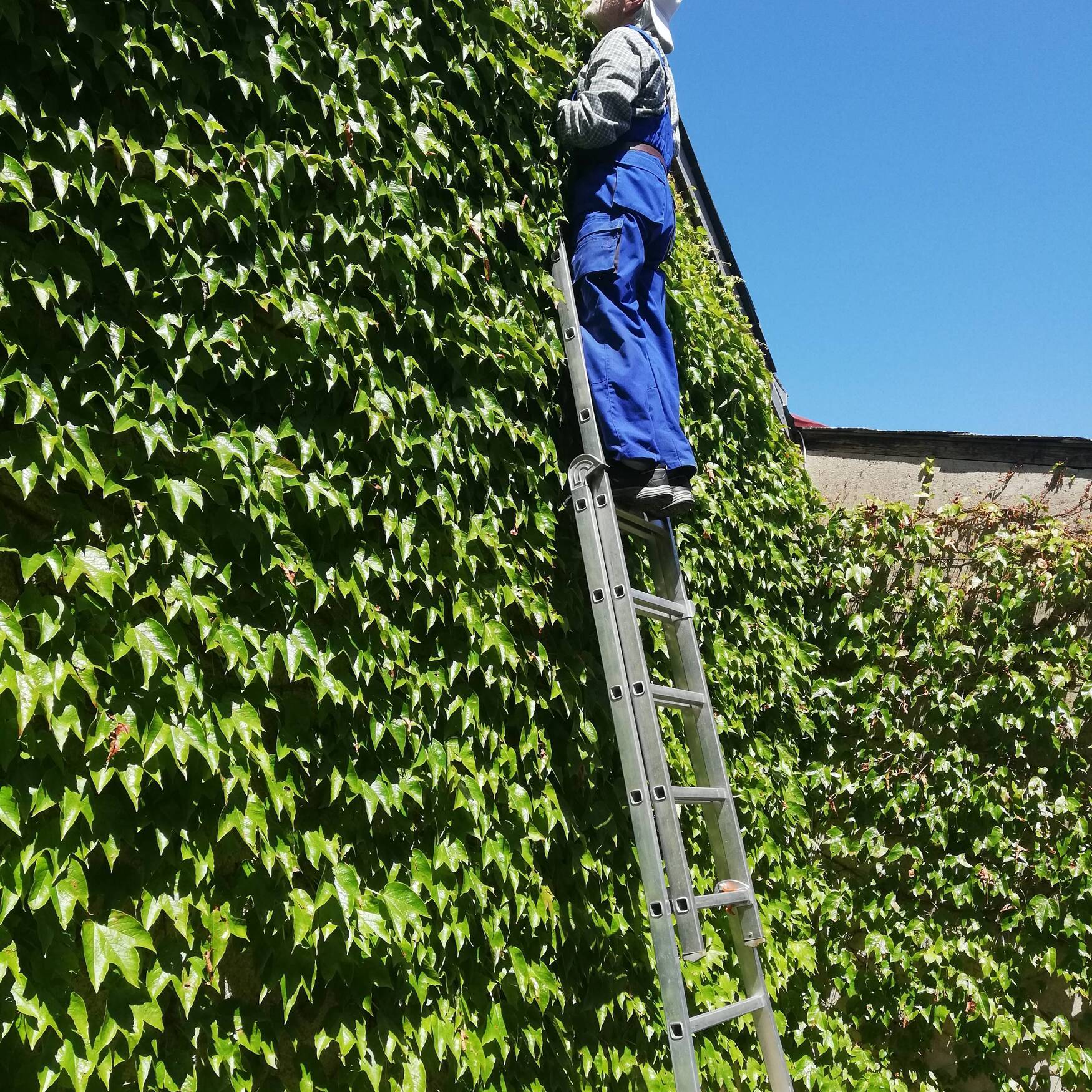 Superwunderland France