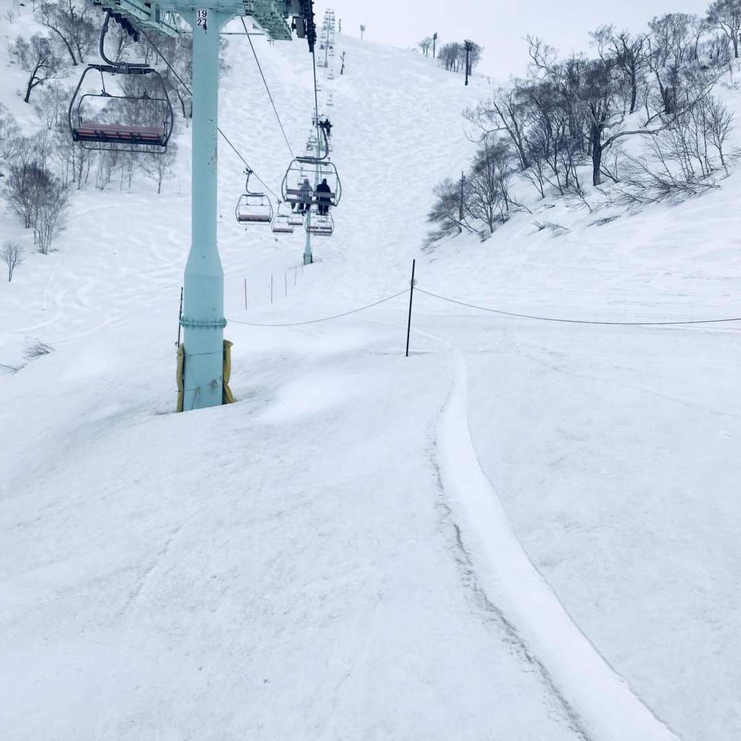 Japan Snowball’ing