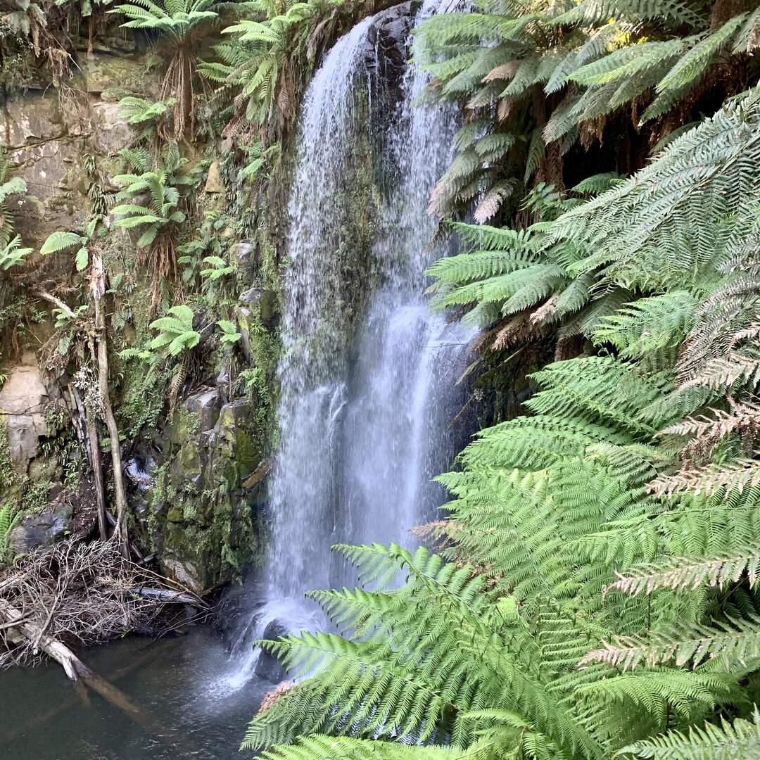 West Coast of Victoria