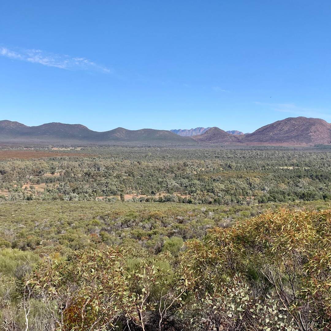 Flinders Ranges 2022