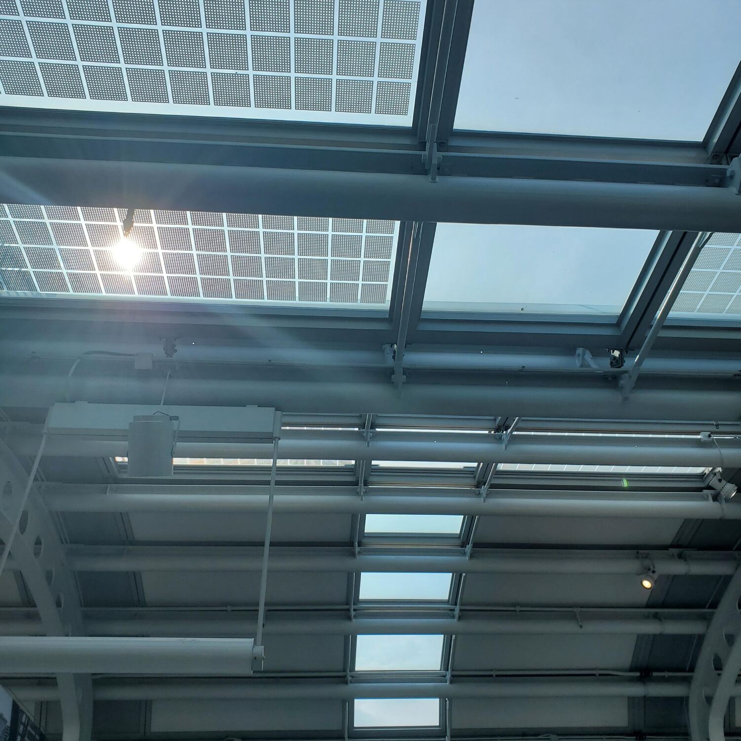 Ireland & Great Britain