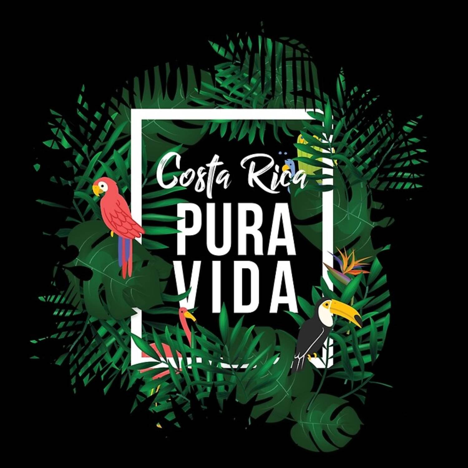 🌴 Costa Rica