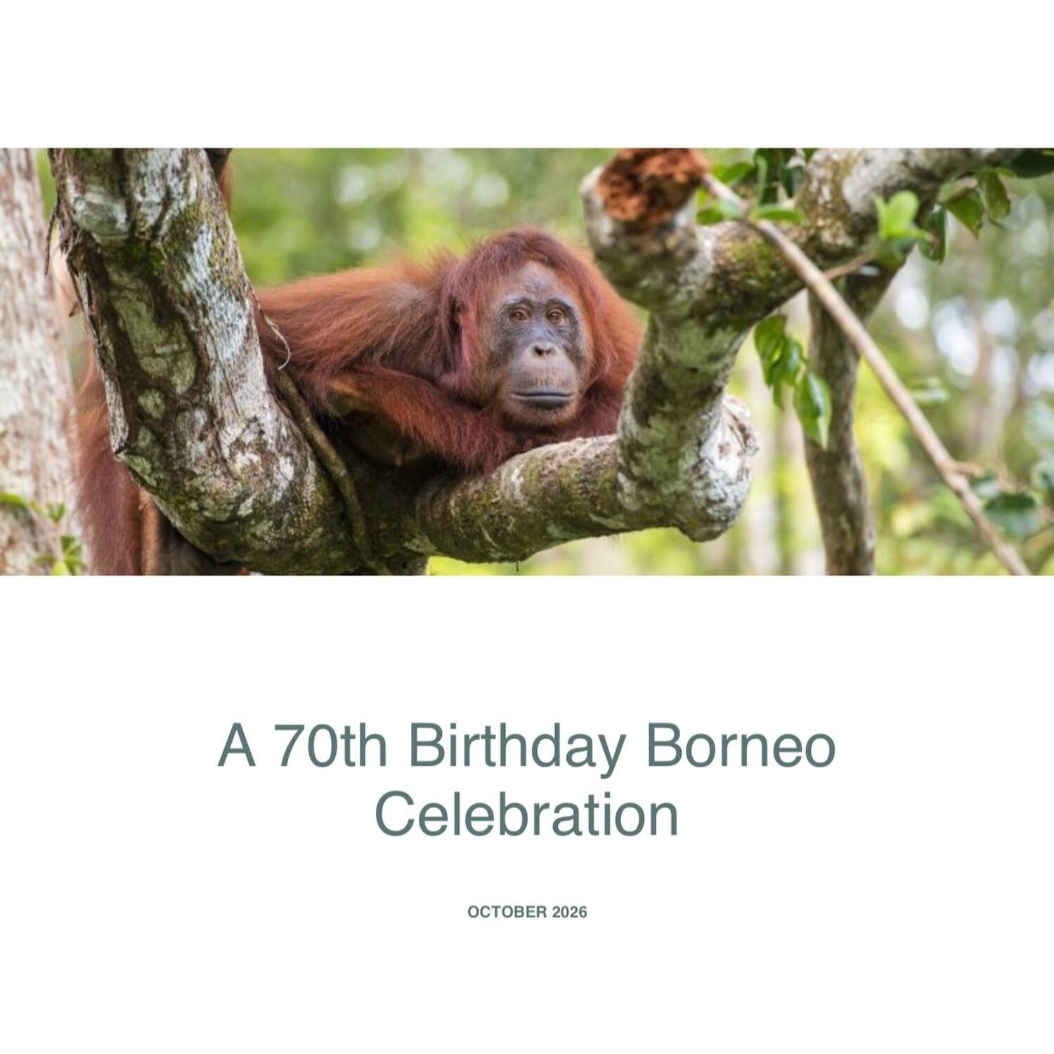 Borneo