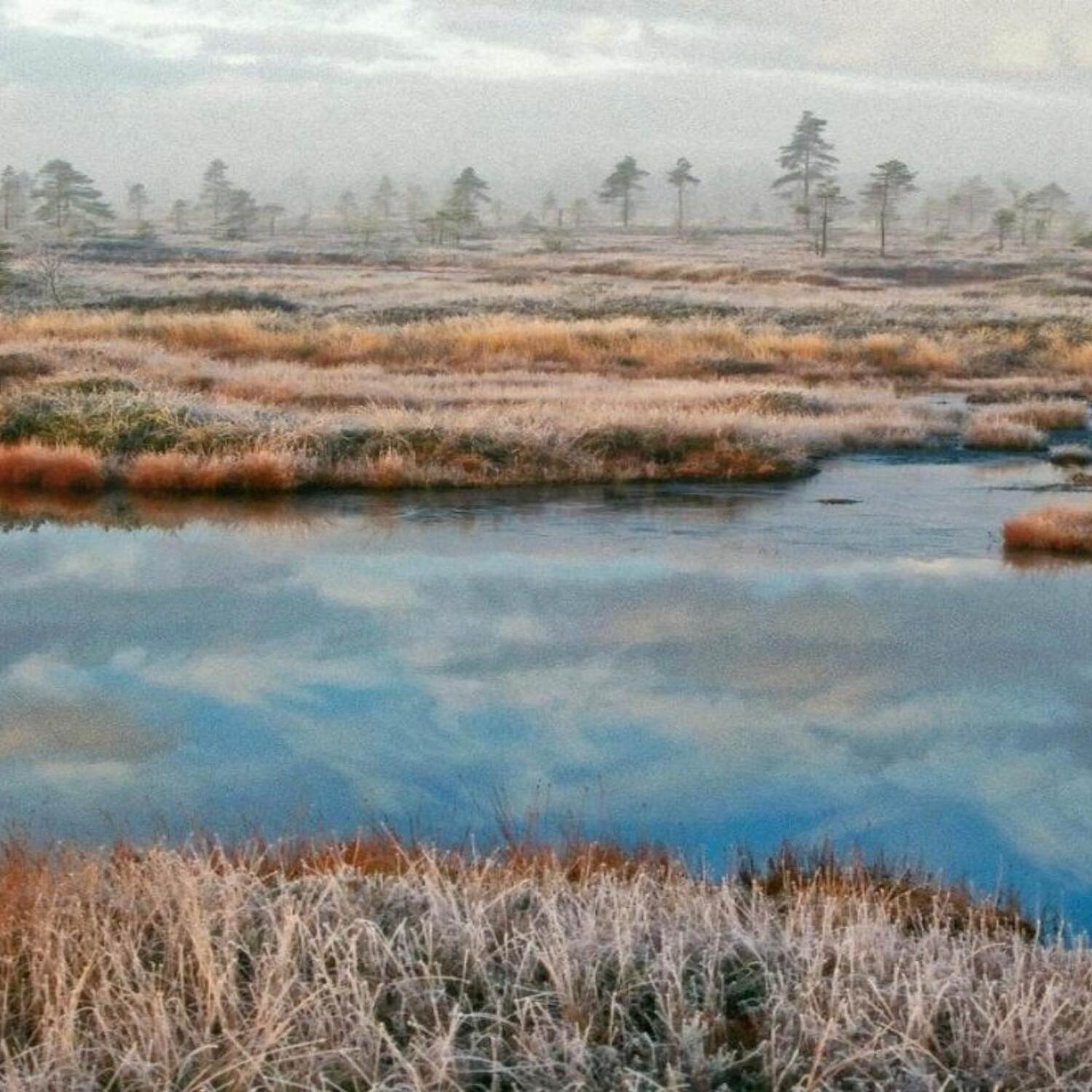 Estland