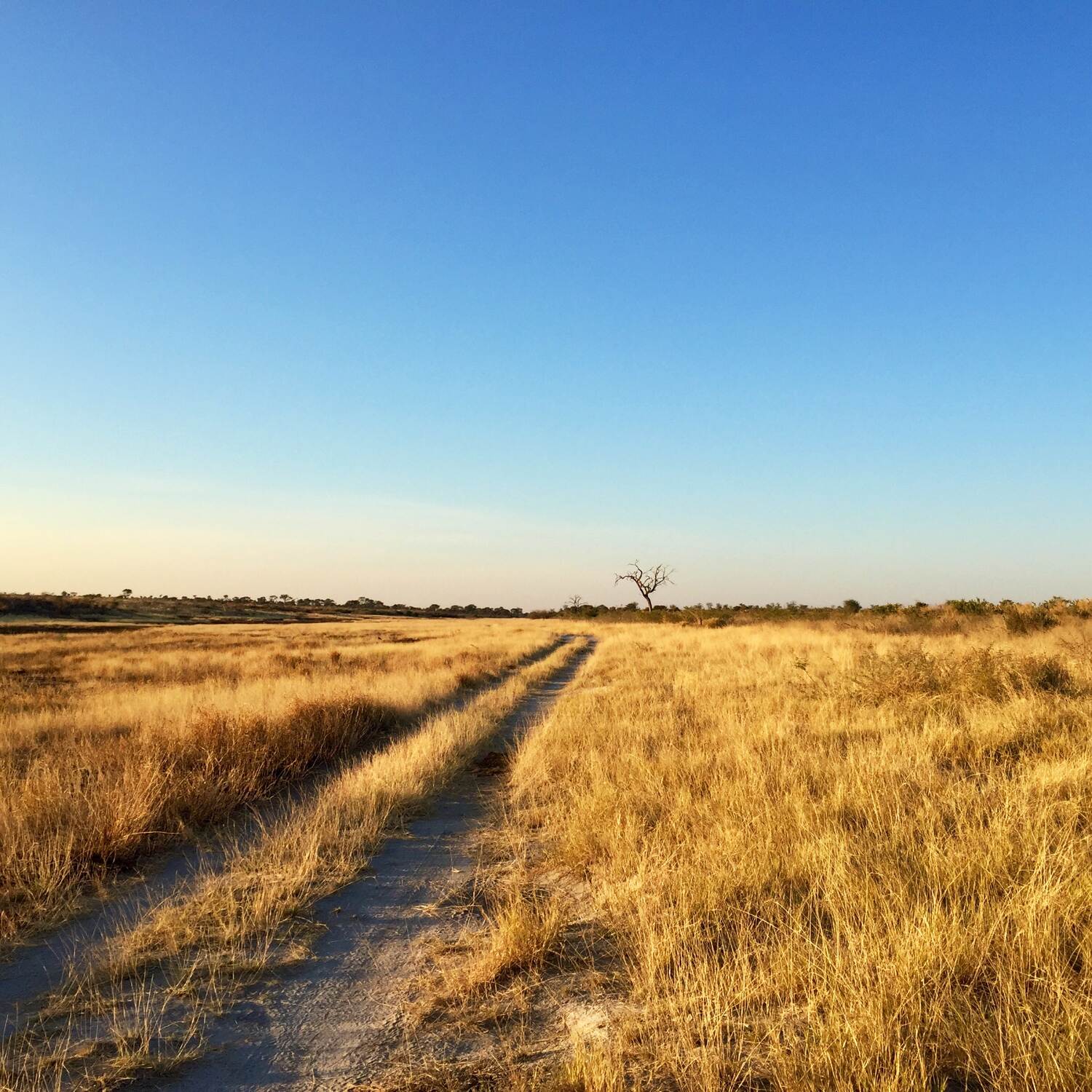 Abenteuer südliches Afrika