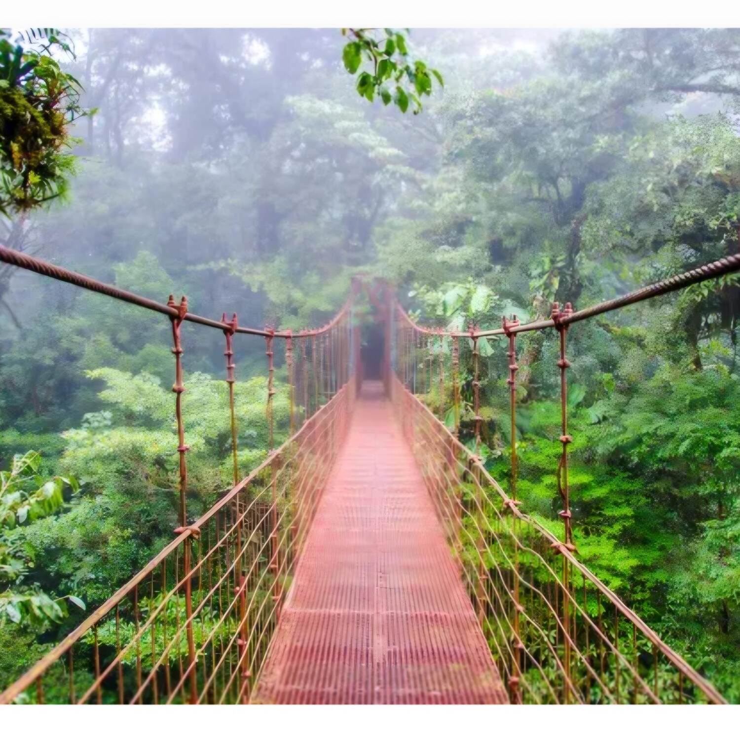 Costa Rica / Panama