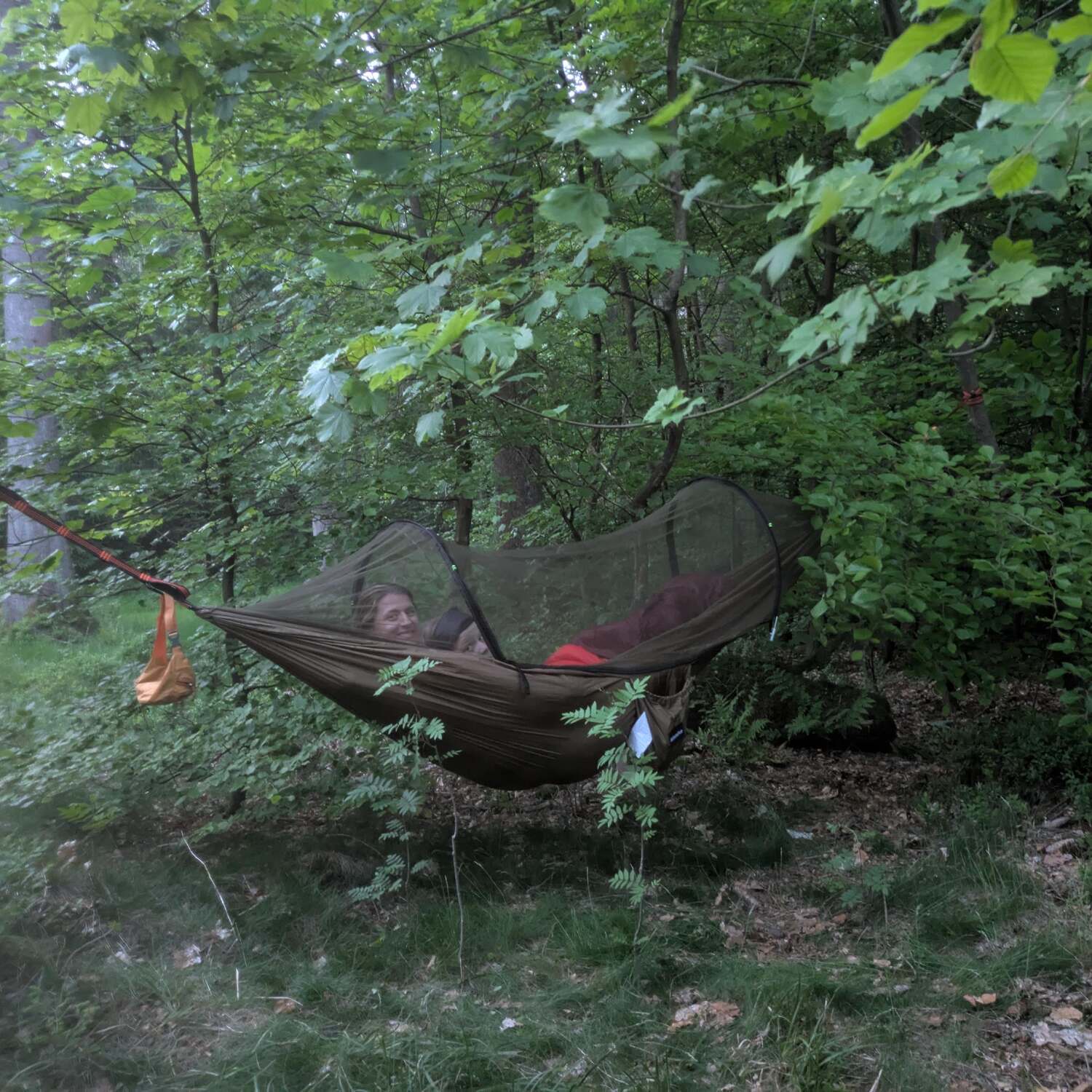 Wildcampen am Vogelsberg