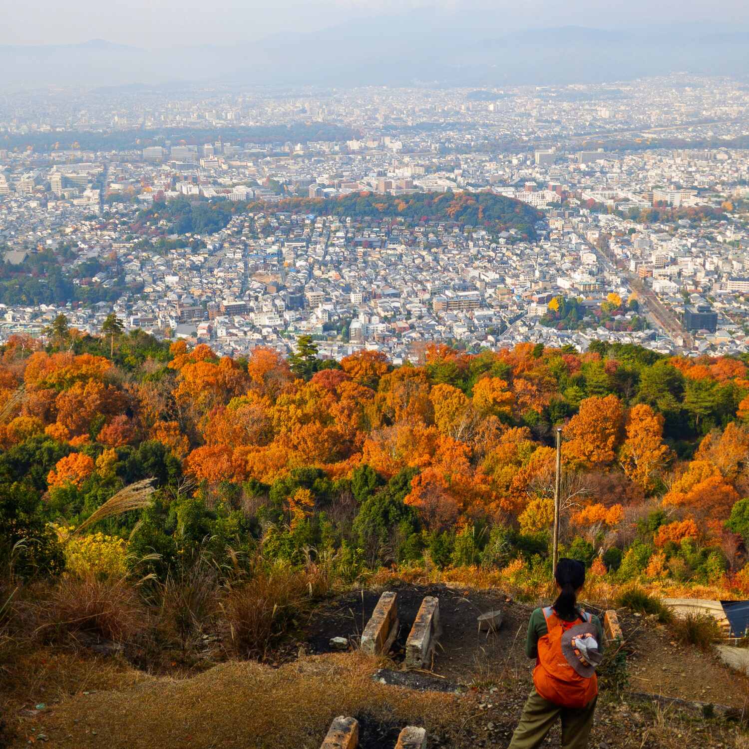 Kyoto Trail and Koyo
