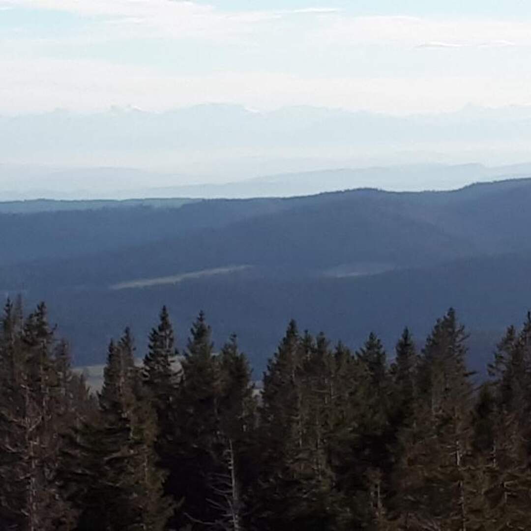 Unser schöne Schwarzwald