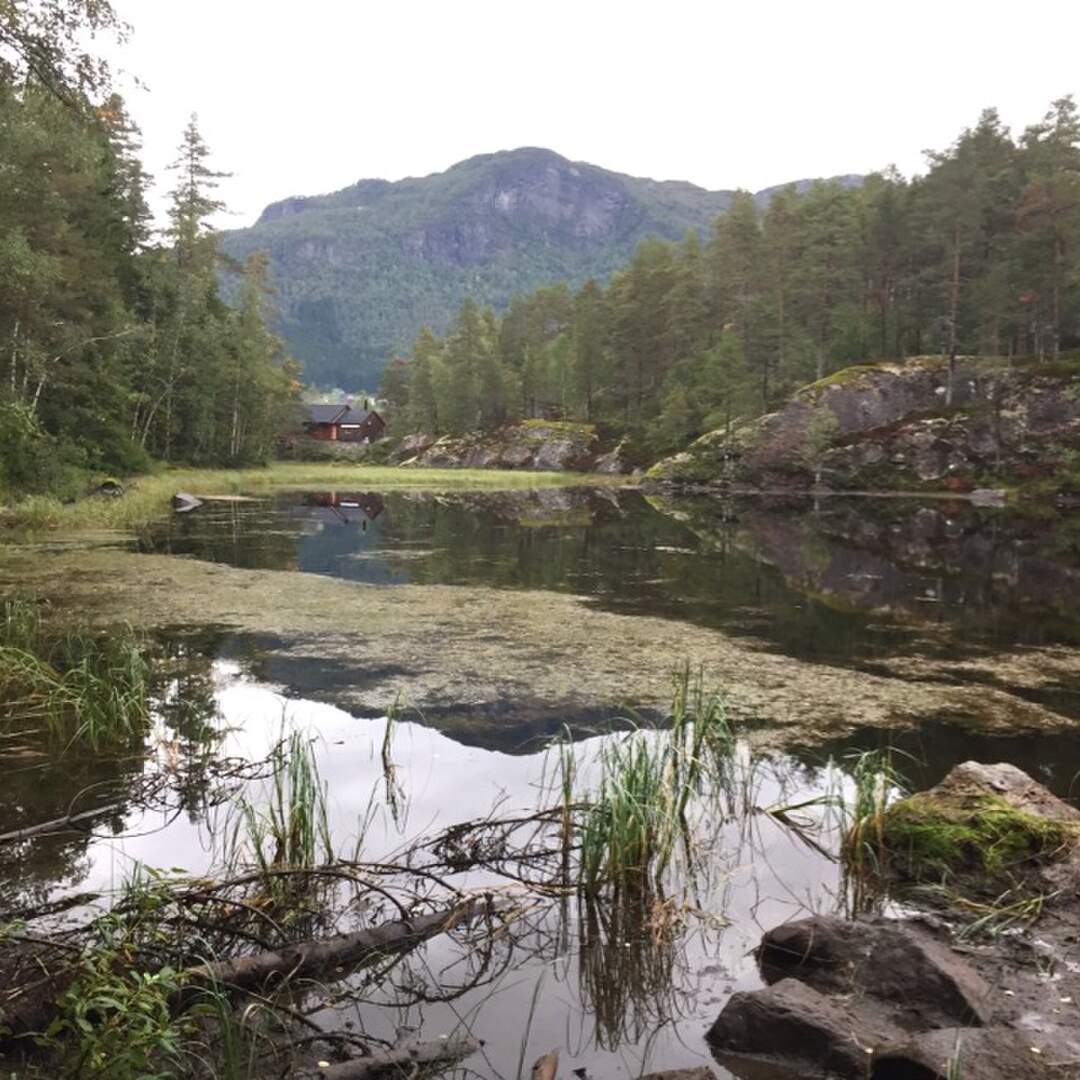 Schweden Bohusleden 2019