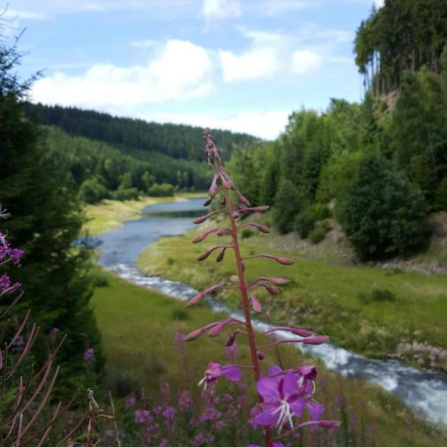 Wanderung Thüringer Wald