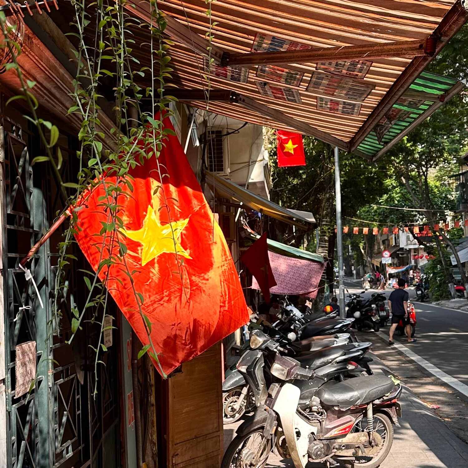 Vietnam - Camboya - Singapur