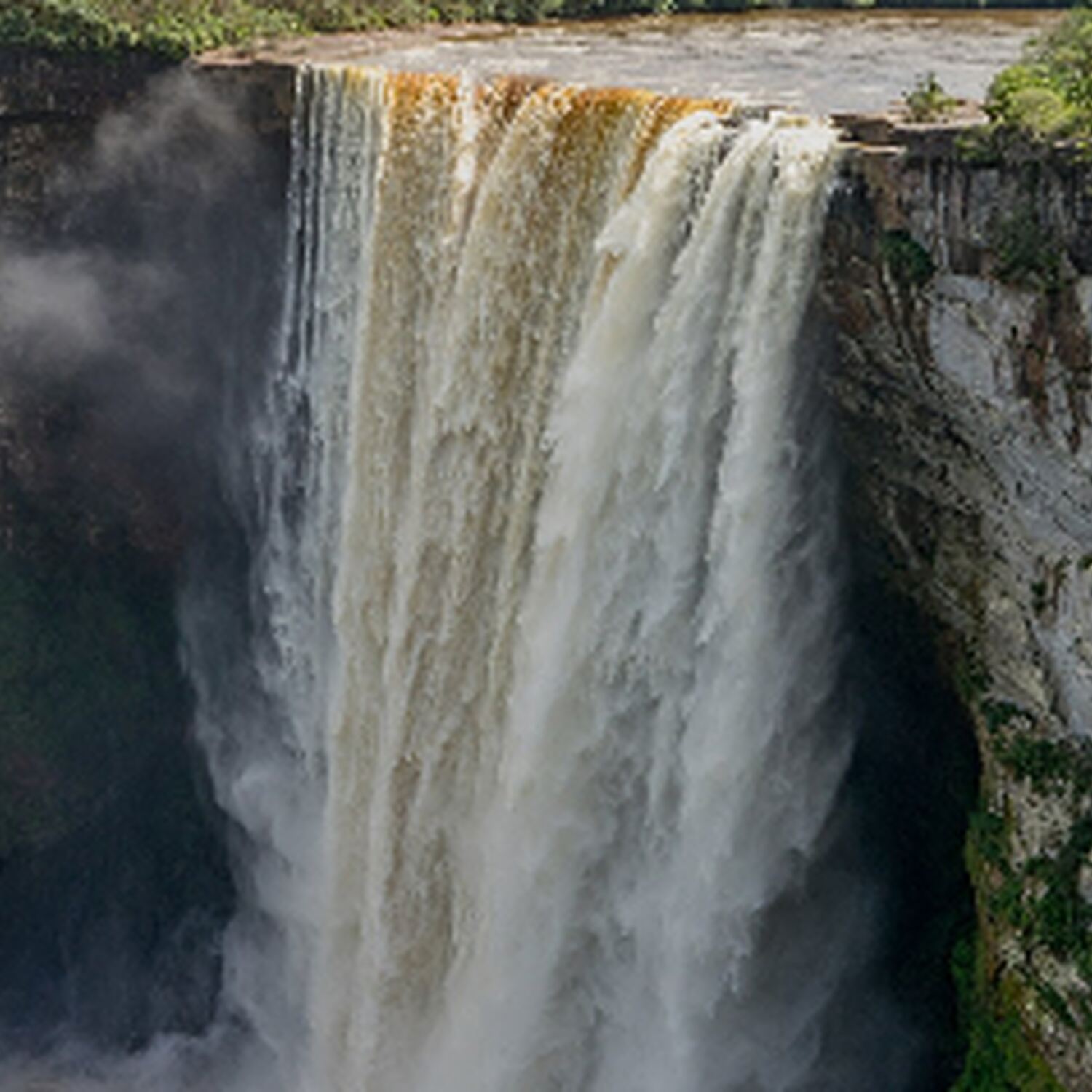 Guyana Suriname French Guiana